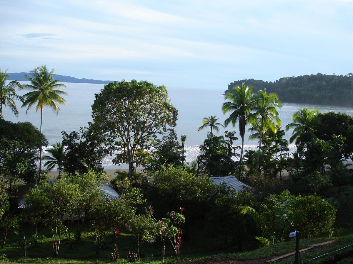 Mapara Crab Lodge Bahia Solano Ngoại thất bức ảnh