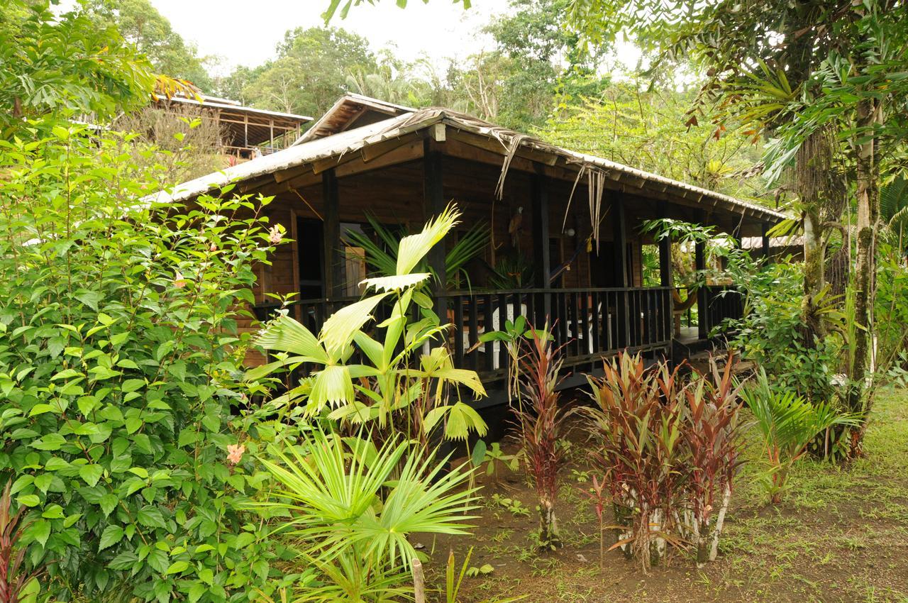 Mapara Crab Lodge Bahia Solano Ngoại thất bức ảnh