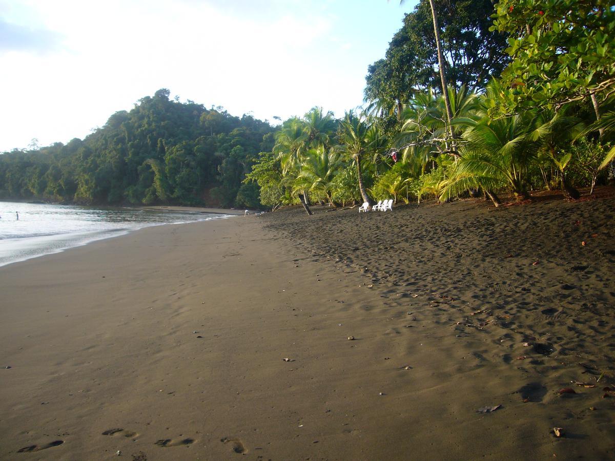 Mapara Crab Lodge Bahia Solano Ngoại thất bức ảnh