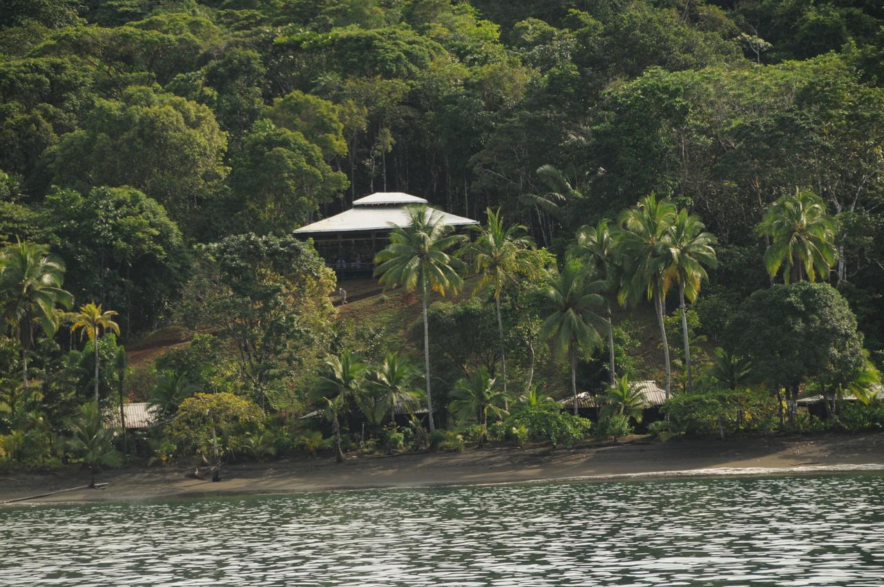 Mapara Crab Lodge Bahia Solano Ngoại thất bức ảnh