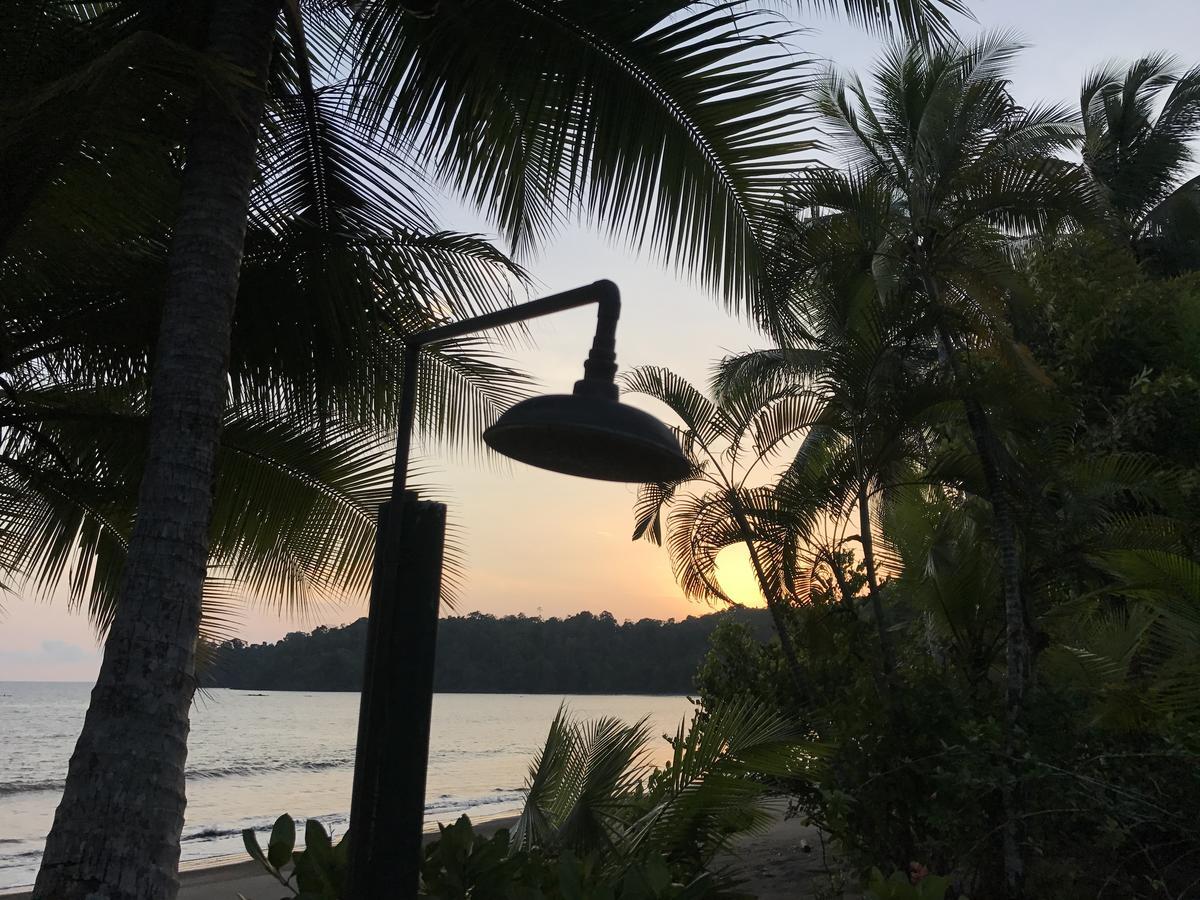 Mapara Crab Lodge Bahia Solano Ngoại thất bức ảnh