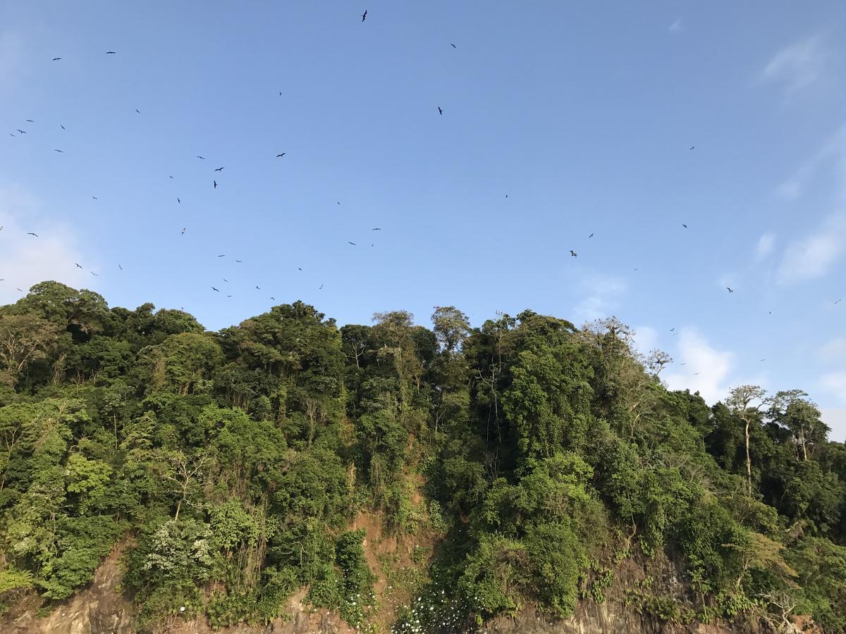 Mapara Crab Lodge Bahia Solano Ngoại thất bức ảnh