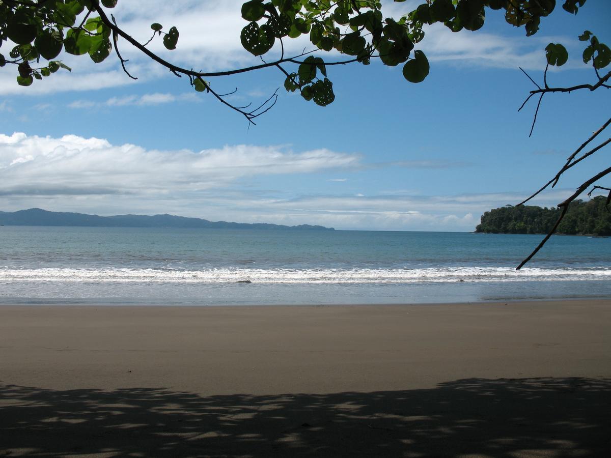Mapara Crab Lodge Bahia Solano Ngoại thất bức ảnh