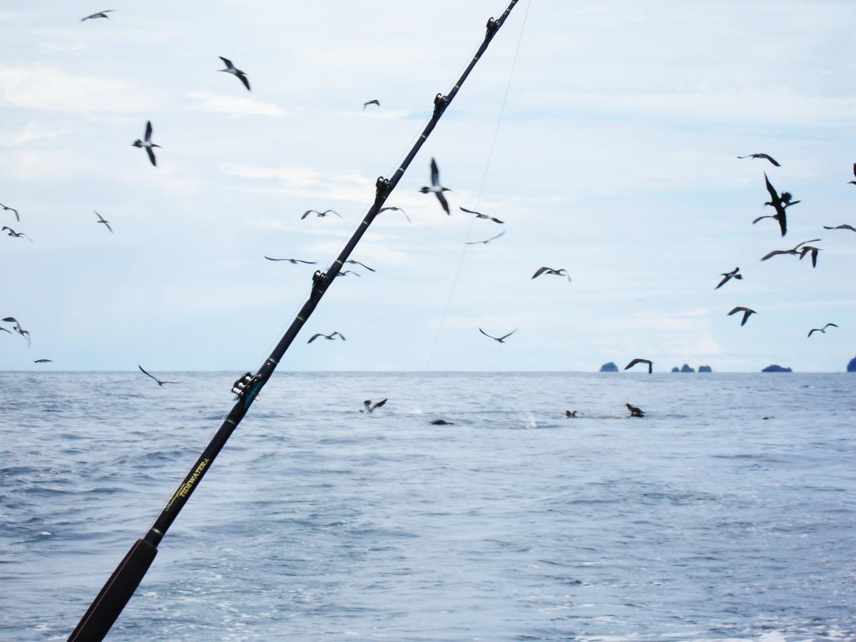 Mapara Crab Lodge Bahia Solano Ngoại thất bức ảnh