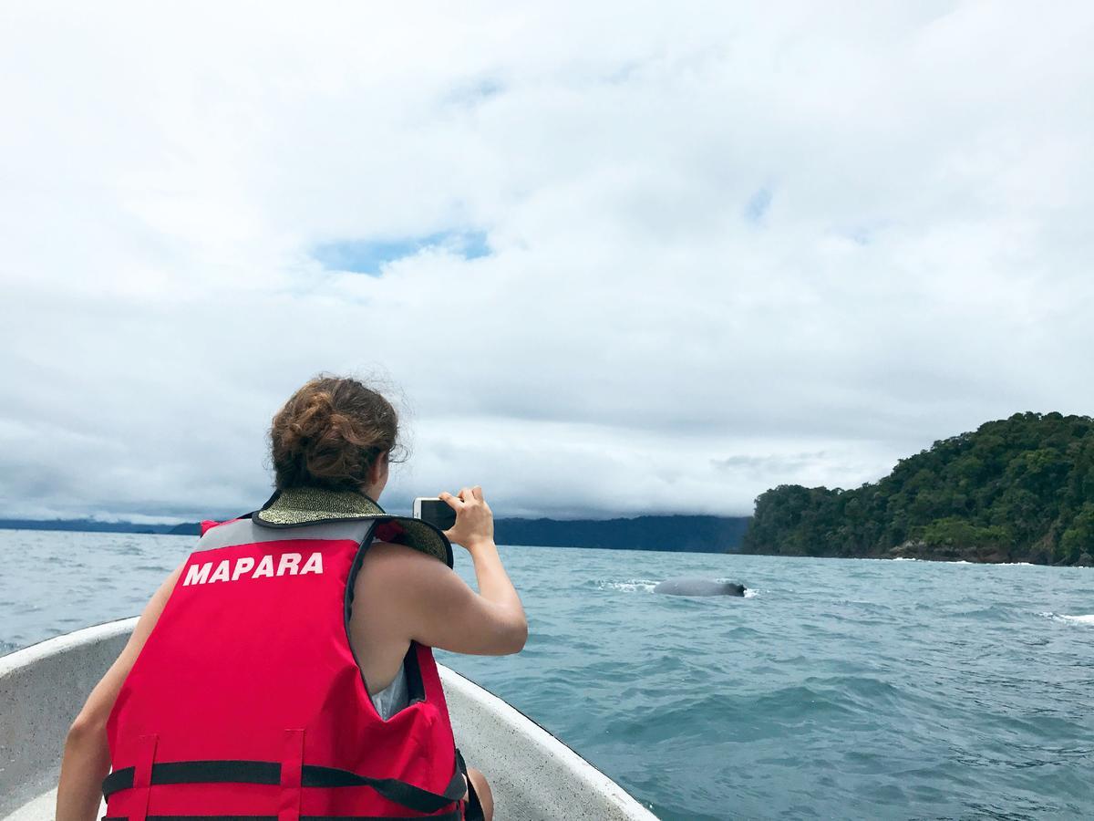 Mapara Crab Lodge Bahia Solano Ngoại thất bức ảnh